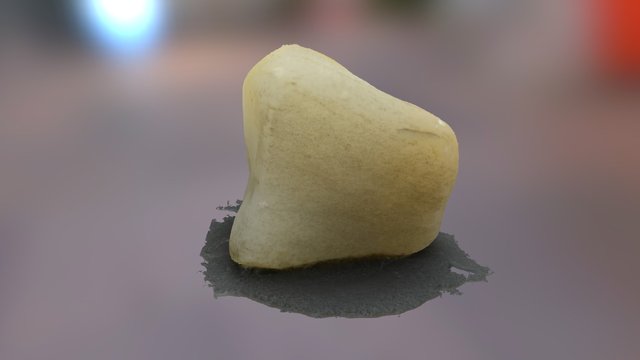 1216 3D Model