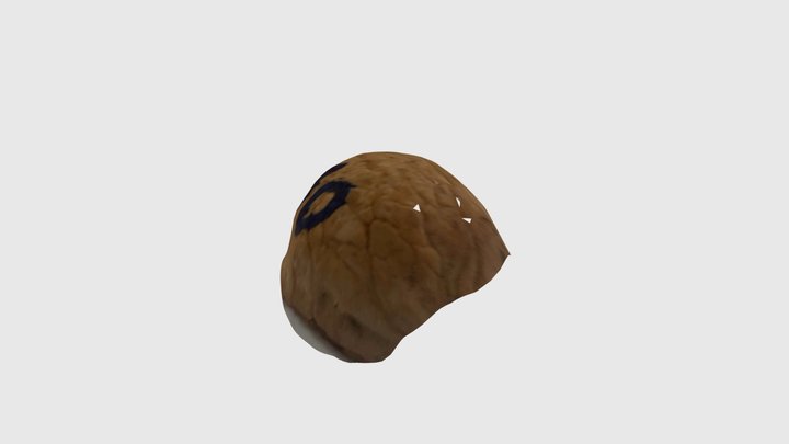 Nuez intef 3D Model