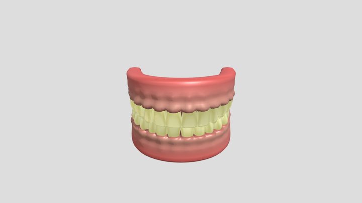 arcada dentaria2 3D Model