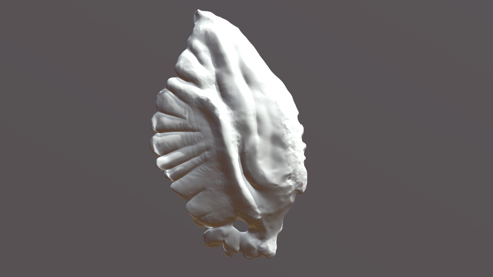 Otolith