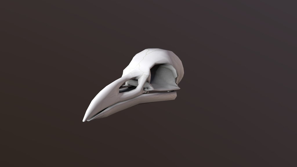 Raven Skull