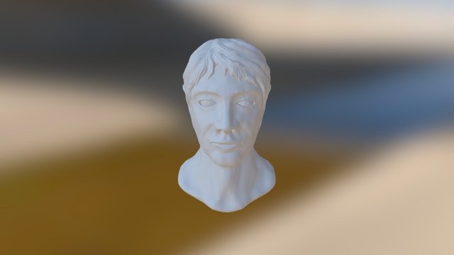 Head Exercice 3D Model