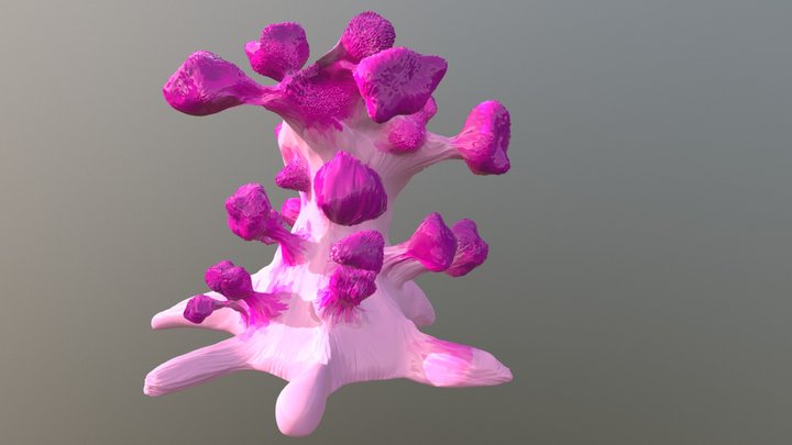 Worled Coral – Modello 3D gratuito STL