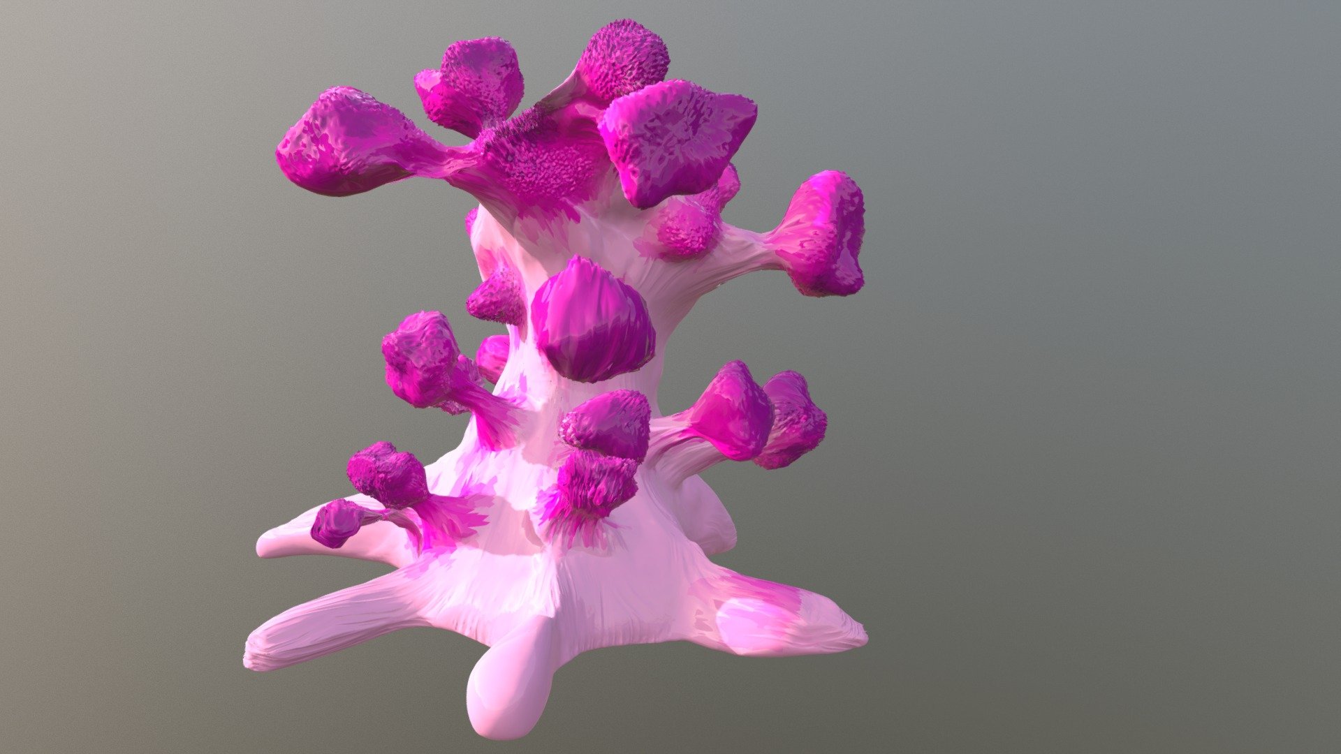 Worled Coral — Sketchfab embed 3D viewer