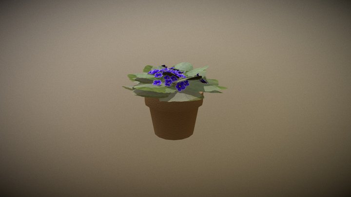 AfricanViolet 3D Model