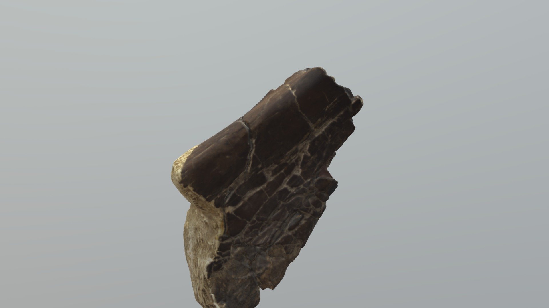 Kritosaurus Femur Proximal End (VCU_3D_3798) — Sketchfab embed 3D viewer