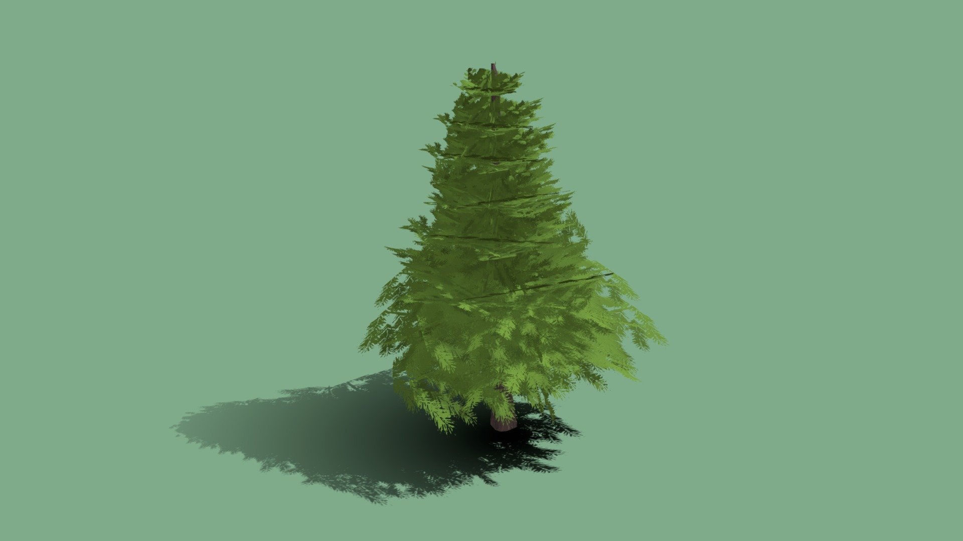 Pine Tree 2 - Download Free 3D model by rhcreations [4fcec35] - Sketchfab