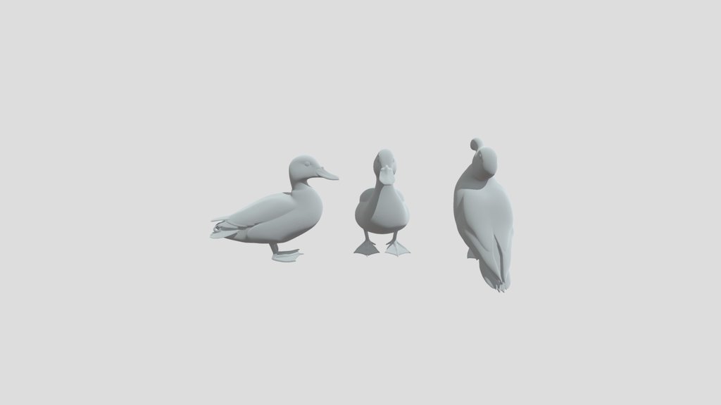 Mallard in Three Views