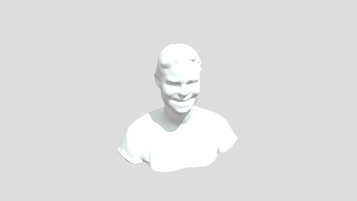 Model Mesh 3D Model