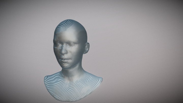 Slicer- Face 3D Model