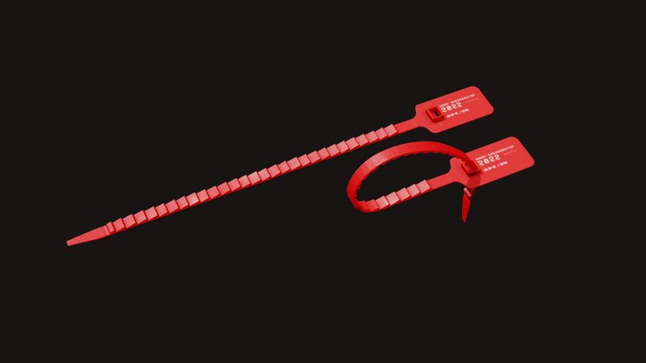Sneaker Zip Tie 310 3D Model