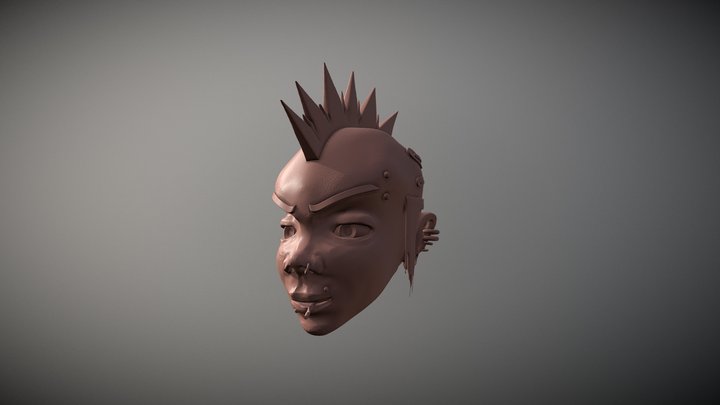 13_Punk 3D Model
