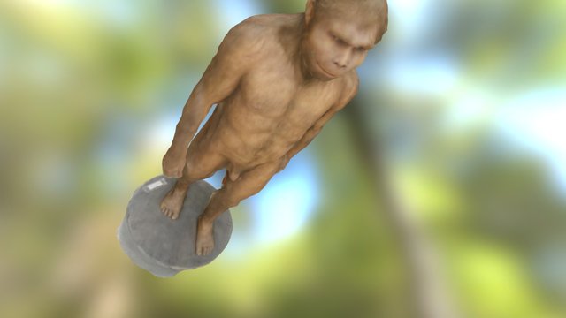 Homo Erectus - Sangiran 3D Model
