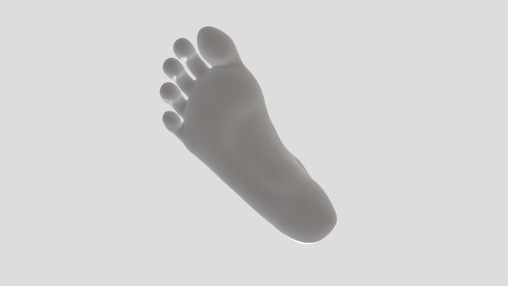 Foot Done 3D Model