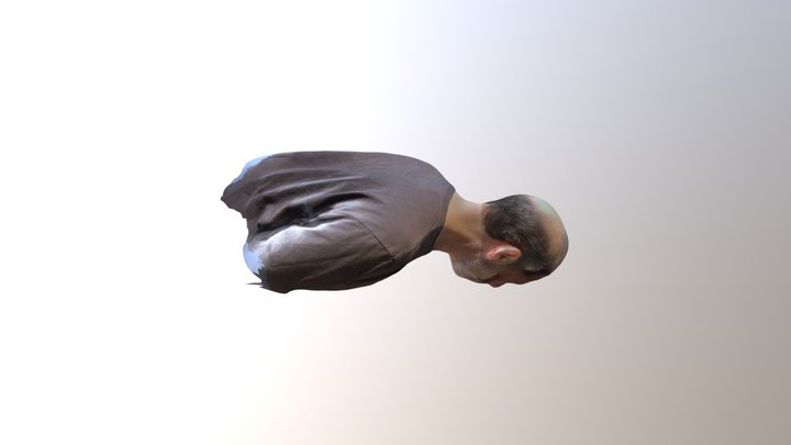 Bust2 3D Model