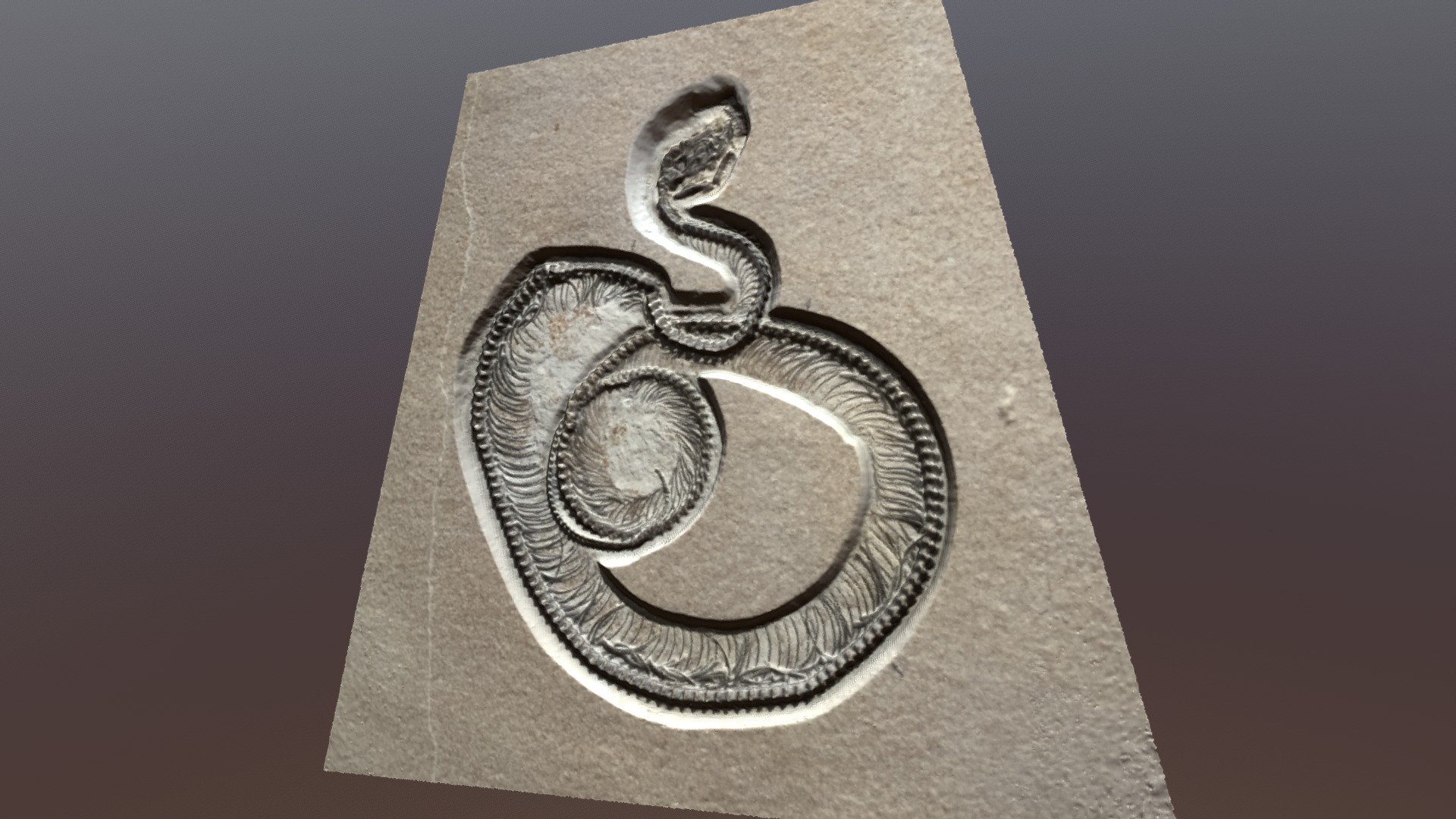 3D model Python Fossil - This is a 3D model of the Python Fossil. The 3D model is about a stone with a design on it.