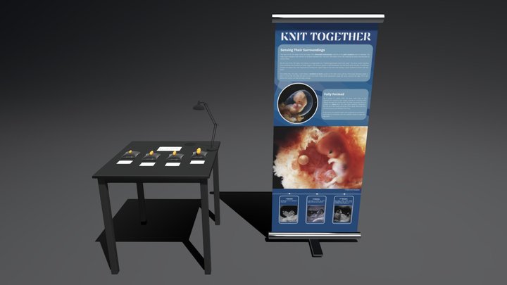 SOHL 3 - Knit Together 3D Model