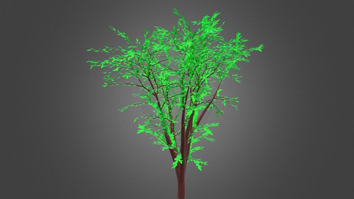 Tree 1 3D Model