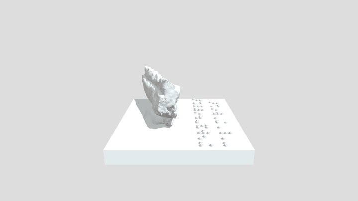 Merychippus calamarius - Braille 3D Model