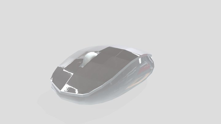 Computer Mouse