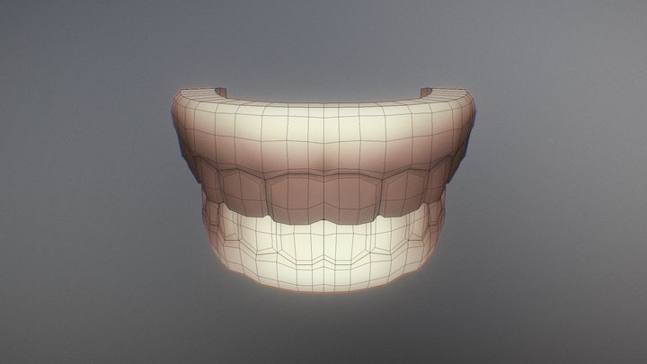 Teeth And Tongue 3D Model