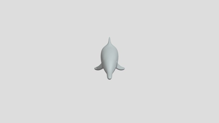 Dolphin Model 3D Model