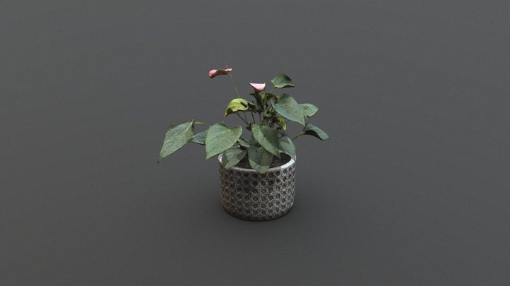 flower_pot_2_Model_LP 3D Model