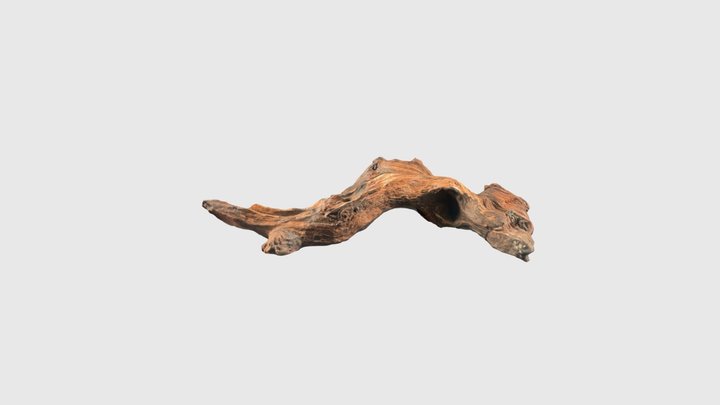 Branch 001 3D Model