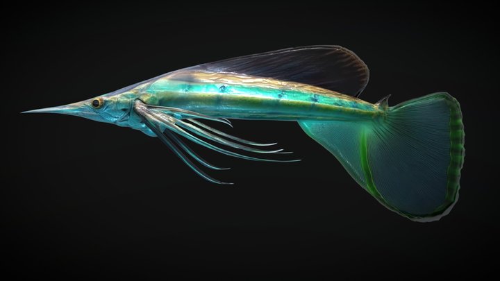 Alien Fantasy Fish - Star Darter 3D Model