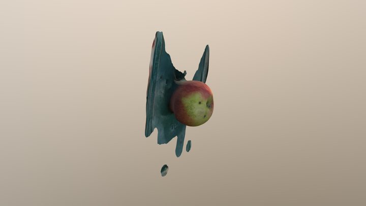 Flyspeck apple 3D Model