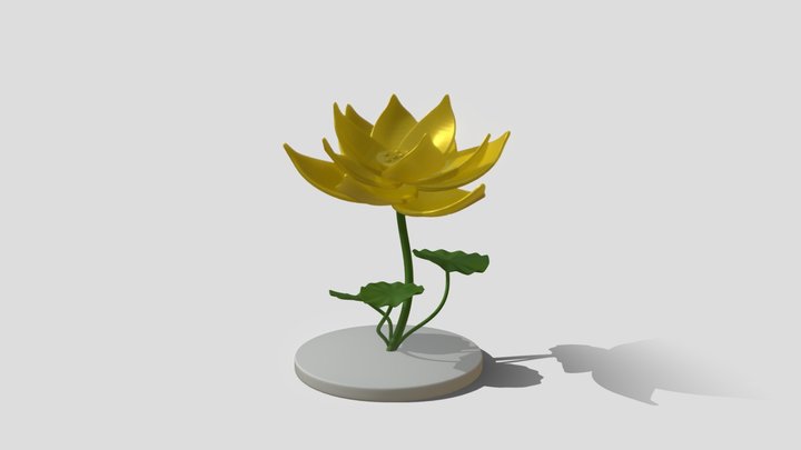 lotus-2025 0625 -2 3D Model