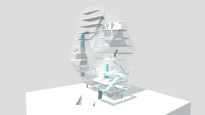 Circulation 3D Model