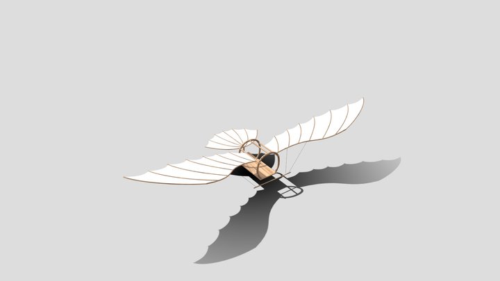 Ornitottero 3D Model