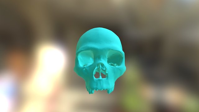 LCA1 3D Model