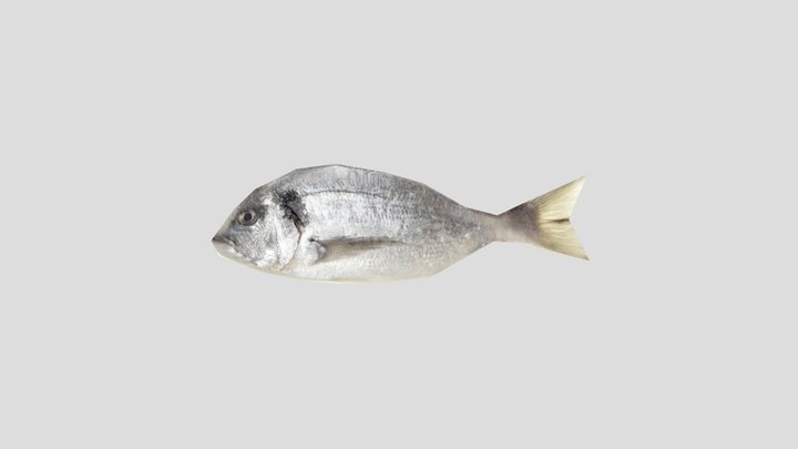 Lowpoly Fish 3D Model