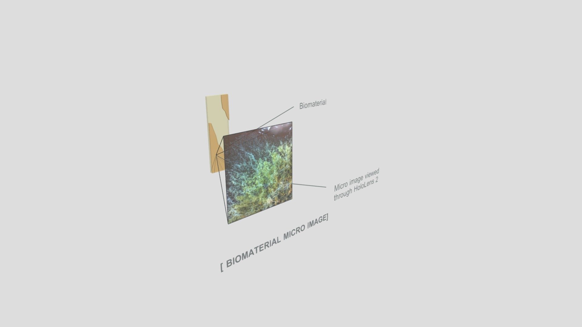 bio_material_XR