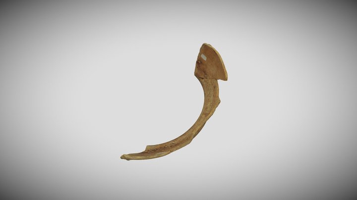 Ваза 3D Model