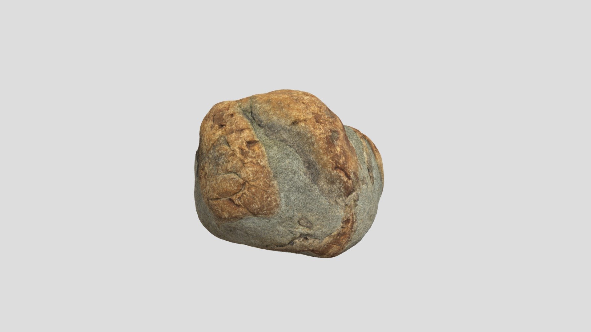 Fossil whale ear bone in matrix