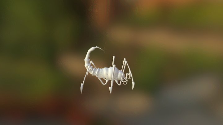 Scorpion Animations 3D Model
