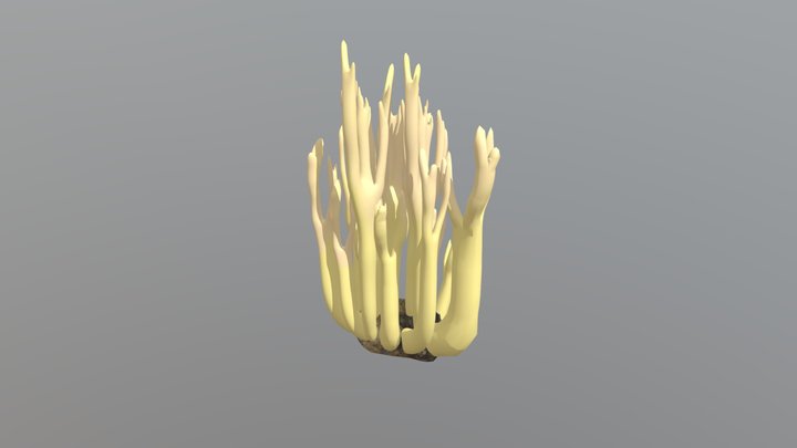 Stick Mushroom Asset 3D Model