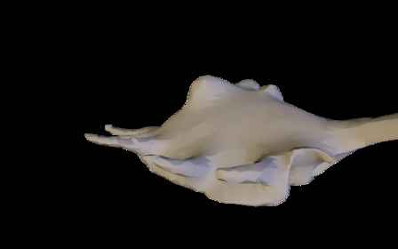 Shell.3ds 3D Model