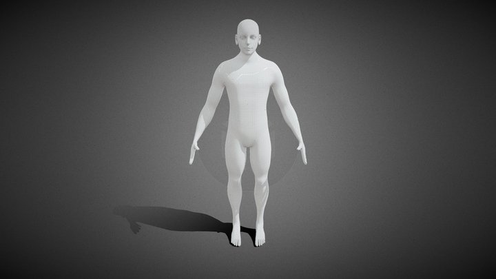 Human Body 3D Model