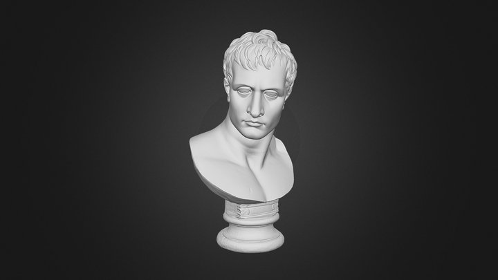 Busto di Napoleone 3D Model