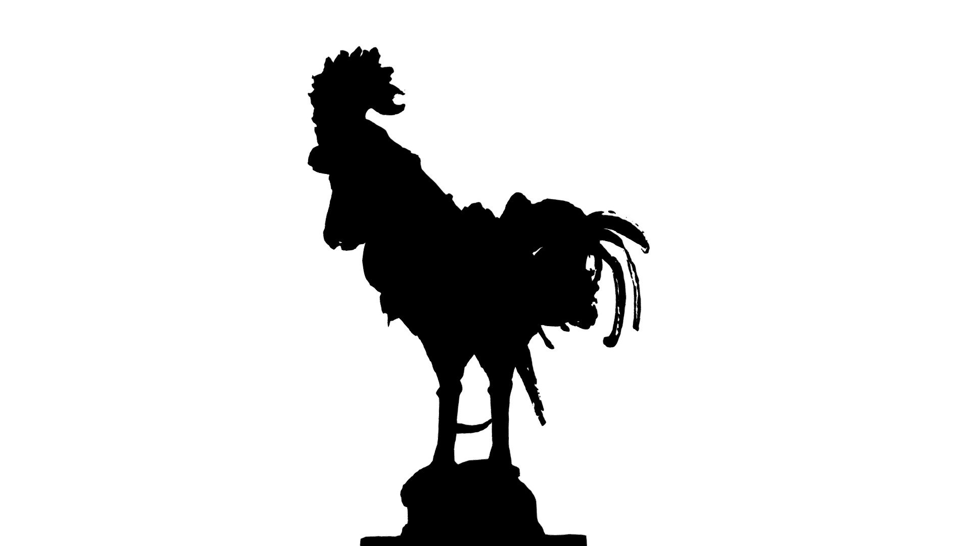 Coq Automate