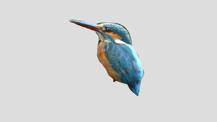 Mm Project 3D Model