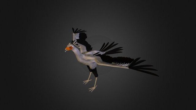 Secretary_Bird 3D Model
