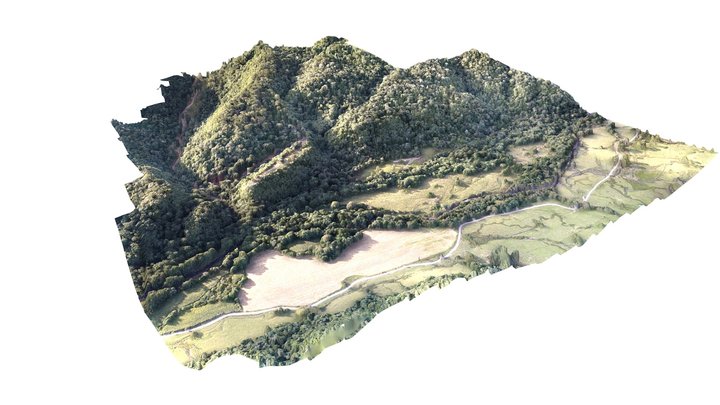 Aerolevantamento - A&P 3D Model