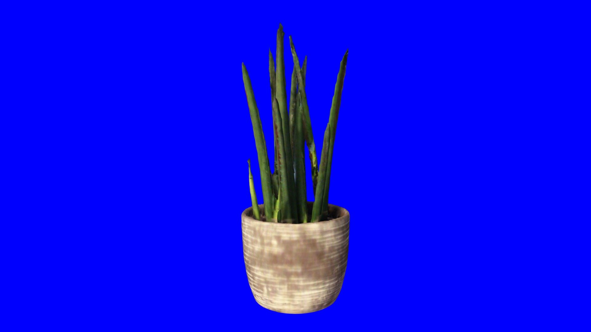 Model - 2019-02-22T193006 281