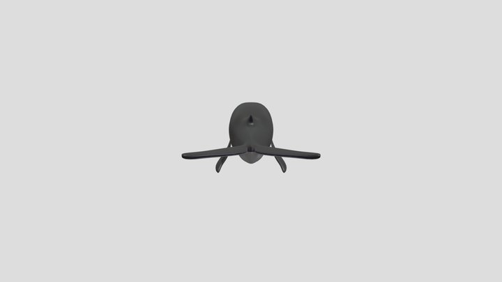 Baleia-jubarte 3D Model