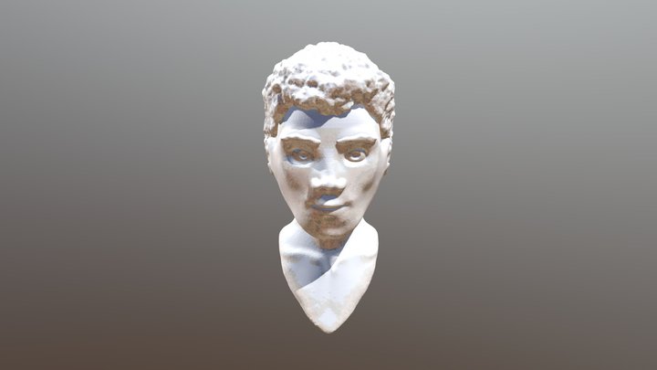 headofboi 3D Model